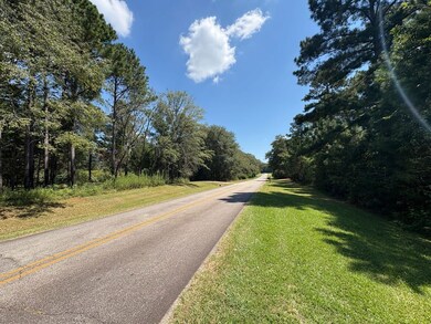 0 Old Rumble Rd, Forsyth, GA 31029 - photo 4