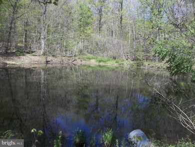 0 Wild Turkey Ct, Front Royal, VA 22630 - photo 4