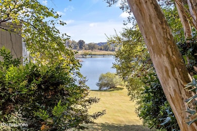 8832 Cove Point Ln, Knoxville, TN 37922 - photo 7