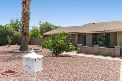 03_5009_E_Cactus_Rd__03_mls