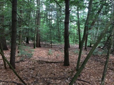 0 Sulphur Hill Rd unit 4507259, Hillsborough, NH 03244 - photo 7