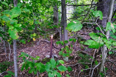 00 Evergreen Acres, Ludlow, VT 05149 - photo 4