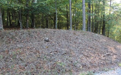 Additional View