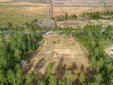 0 Abie Fontenot Rd unit SWL25102586, Iowa, LA 70647 - photo 6