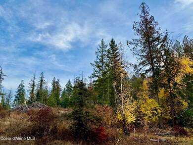 161 Brightwater Ln, Sandpoint, ID 83864 - photo 5