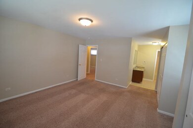 259 Bay Colony Dr, Naperville, IL 60565 - photo 6