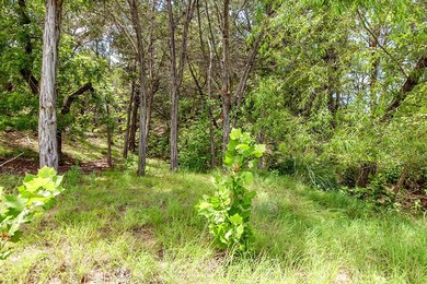 0 Ranch Road 965, Fredericksburg, TX 78624 - photo 7