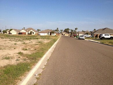 518 Elena Ln, Alamo, TX 78516 - photo 3