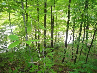 Lot has small and mature trees