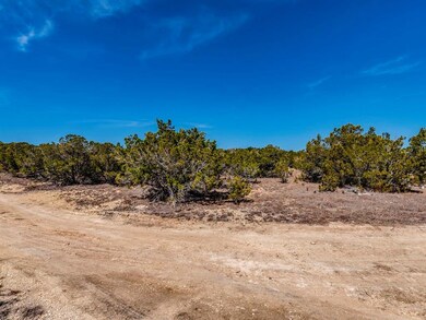 View of local wilderness