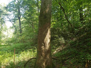 0 Houghton Ln unit 201936061, Loogootee, IN 47553 - photo 3