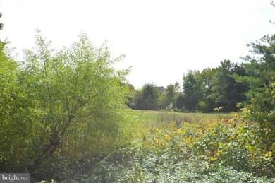 25677 Tremaine Terrace, Chantilly, VA 20152 - photo 3