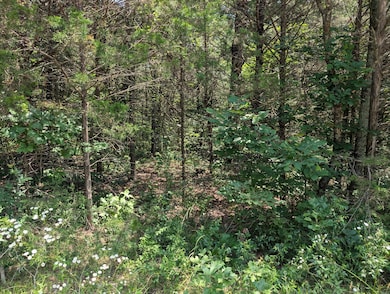 PXL_20250610_180343025