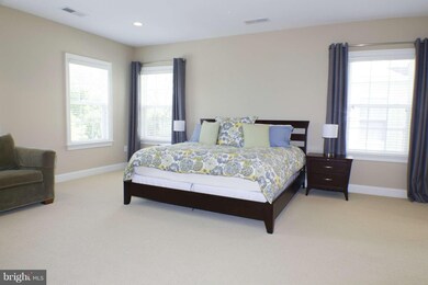 6799 Colby Crossing Way, Falls Church, VA 22046 - photo 6