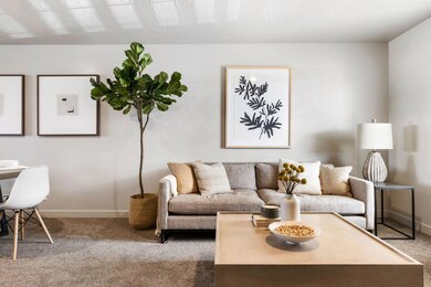 1167 E Telegraph St unit a102 - www.lyst
