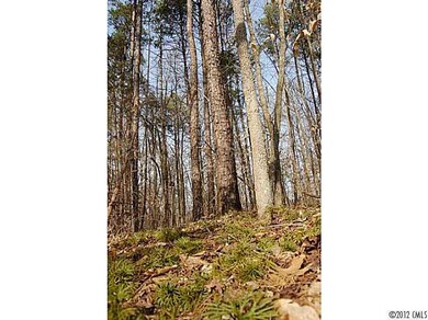 Lot 7 Walnut Ridge Rd unit 7, Iron Station, NC 28080 - photo 3