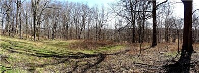 800 Alf Harris Rd, Prospect, TN 38477 - photo 7