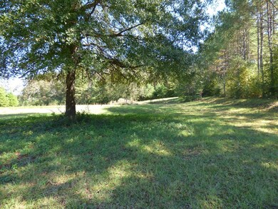 1027 Deer Ridge Rd, McComb, MS 39648 - photo 4