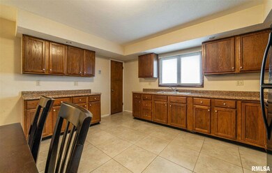 1501 N Sangamon St, Lincoln, IL 62656 - photo 4