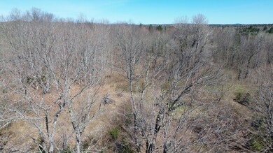 DJI_0187