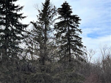 40519 Pine View Dr, Sauk Centre, MN 56378 - photo 6