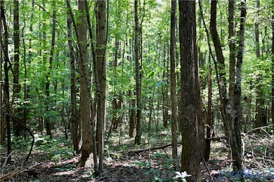 0 Bellevue Rd unit 2526138, Halifax, VA 24588 - photo 5