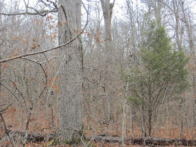 000 Ridgehaven Rd, Mammoth Spring Township, AR 72554 - photo 3