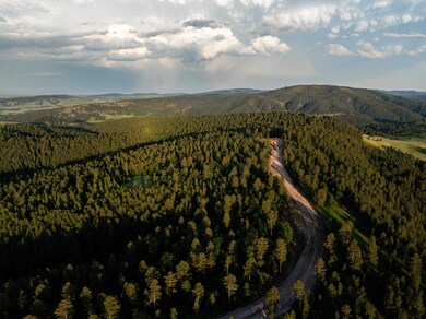 Lot 3 Three Peaks Pass, Whitewood, SD 57793 - photo 5