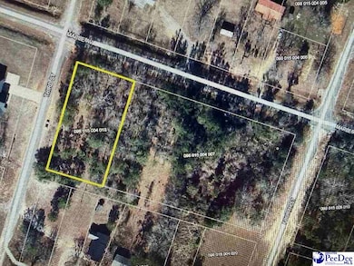 Lot 15 & 16 Maple Ave, McBee, SC 29101 - photo 2