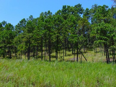 tbd Peach Creek Rd, Fan, OK 74935 - photo 5