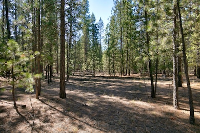 51915 Swiss, La Pine, OR 97739 - photo 4