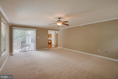 67 Dorothy Ln, Stafford, VA 22554 - photo 5