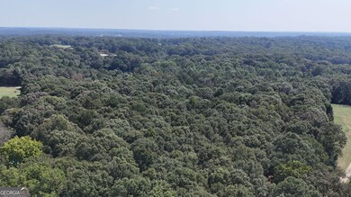 499 Aderhold Rd, Carnesville, GA 30521 - photo 5