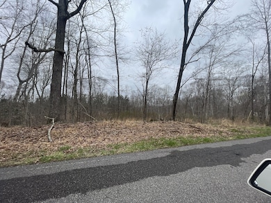 1 Forest Trail, Bumpus Mills, TN 37028 - photo 4