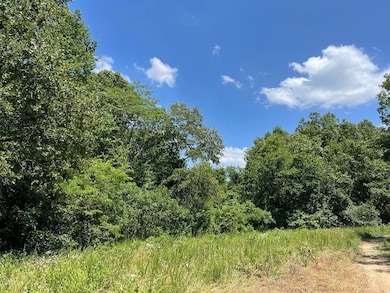 0 5 49 Acres On Meadow Creek Dr, Harrison, AR 72601 - photo 2