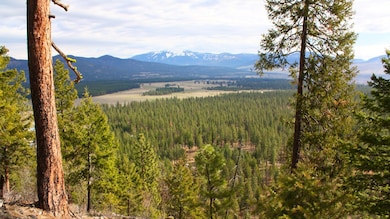 Nhn Blackjack Rd, Plains, MT 59859 - photo 4