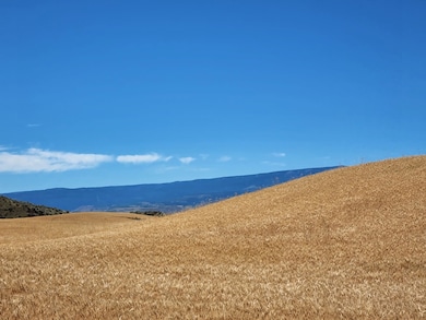 2025 Cougar Ridge Rd, East Wenatchee, WA 98802 - photo 6