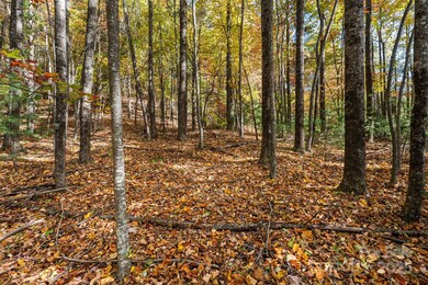 Lot 24 Ben Miller Rd unit 24, Deep Gap, NC 28618 - photo 3