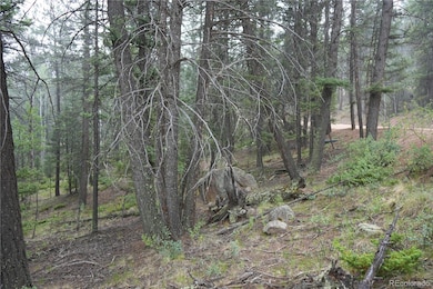 28 Feldspar Rd, Florissant, CO 80816 - photo 2