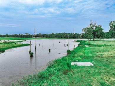 000 County Road 4200, Daingerfield, TX 75638 - photo 5