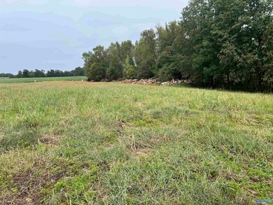 21256 Holland Rd, Athens, AL 35614 - photo 6