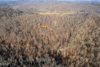 555.59AC Board Valley Rd, Cookeville, TN 38501 - photo 4