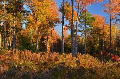 Maine Land for Sale in Sebec, Maine