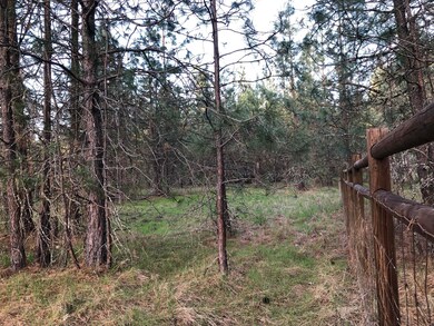 4201 New Hope Rd, Grants Pass, OR 97527 - photo 4