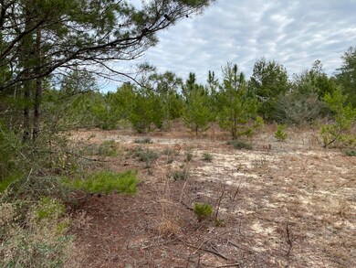 Walton Land 1