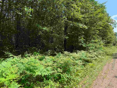 0000 Pokegama Dr, Lac Du Flambeau, WI 54548 - photo 6