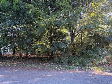 17180 Linda St, South Bend, IN 46635 - photo 2