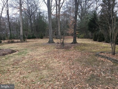 7724 Lee Ave, Alexandria, VA 22308 - photo 4