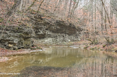 3095 Herbert Howell Rd, Hodgenville, KY 42748 - photo 2