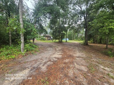 281 NE 817th St, Old Town, FL 32680 - photo 6